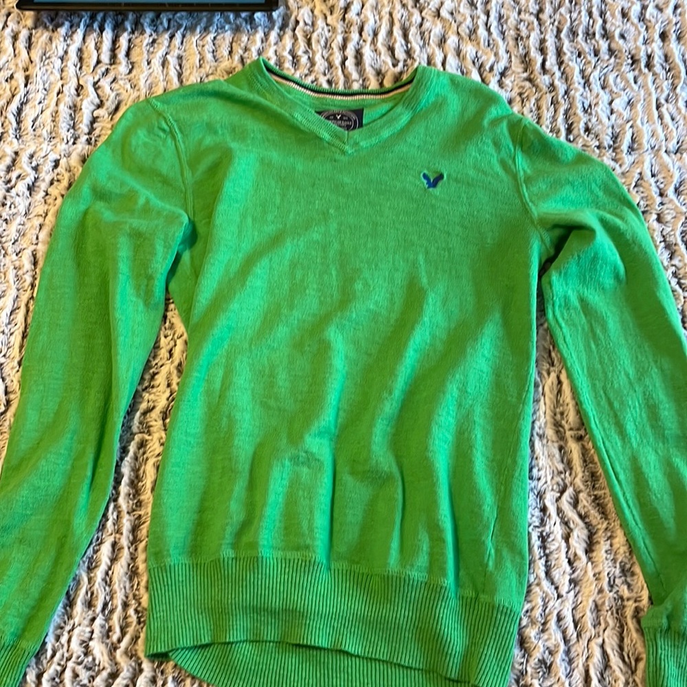 Green Hollister Sweater
